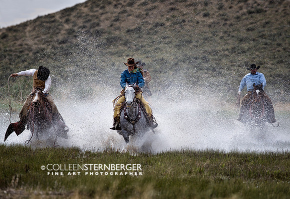 Cowgirl Logic