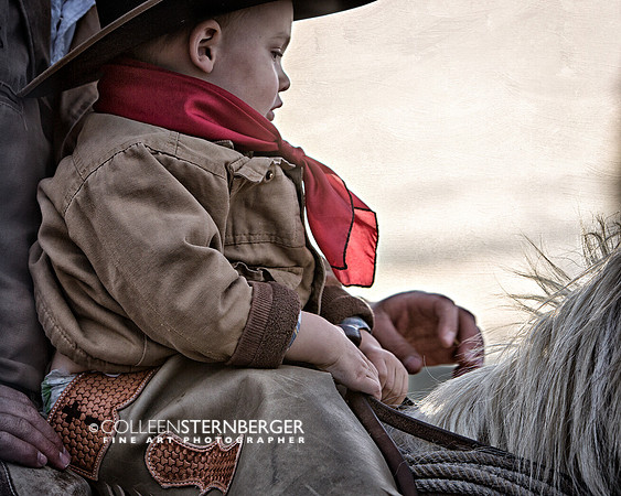 Safe in the Saddle