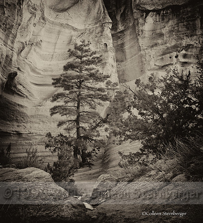 Tent Rocks 1