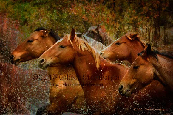Water Horses