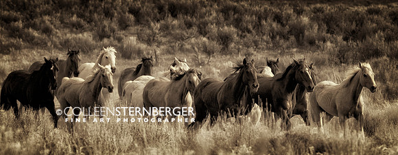 Side Light Sepia