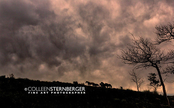 Absaroka Storm