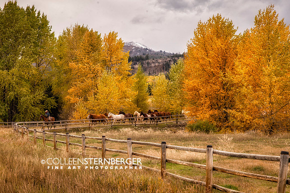 Crandall Fall