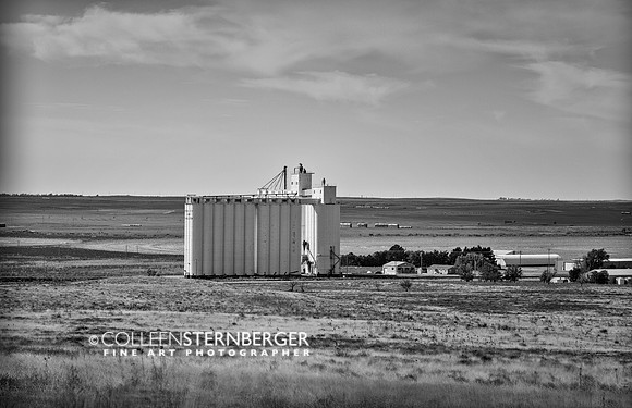 Charleston Elevator