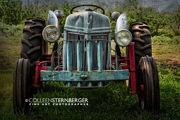 farming, "old tractor", rural, tractor, agriculture, "pioneer tractor", crops